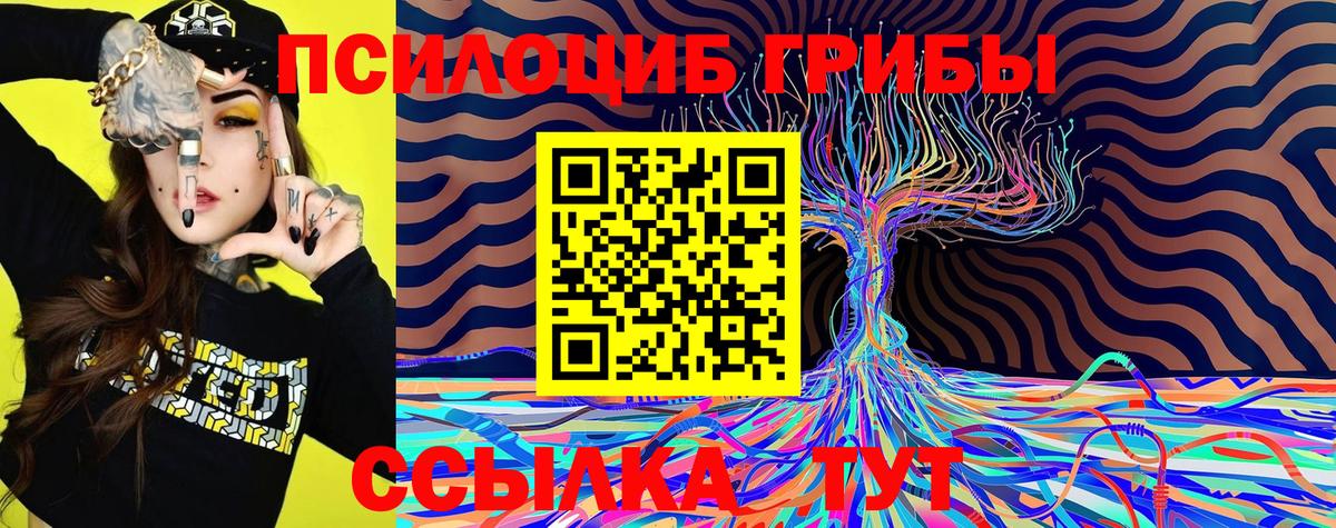Галлюциногенные грибы Psilocybine cubensis  Галлюциногенные грибы Magic Shrooms  Вход с VPN  Гусиноозёрск 